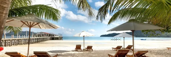 プロフィール背景