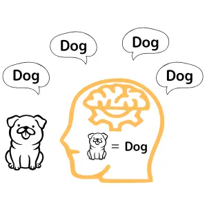 言葉のインプットを増やすことで言葉を憶える