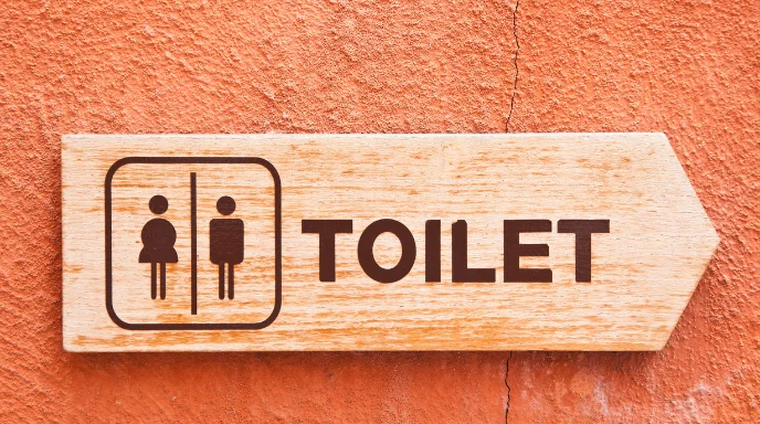 toilet...